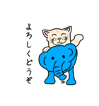 ダンボール色のねこ（個別スタンプ：12）