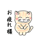 ダンボール色のねこ（個別スタンプ：13）