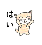 ダンボール色のねこ（個別スタンプ：16）