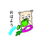 ダンボール色のねこ（個別スタンプ：17）