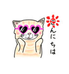 ダンボール色のねこ（個別スタンプ：18）