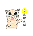 ダンボール色のねこ（個別スタンプ：19）