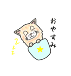 ダンボール色のねこ（個別スタンプ：20）