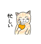 ダンボール色のねこ（個別スタンプ：25）