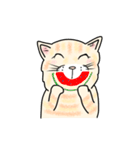 ダンボール色のねこ（個別スタンプ：27）