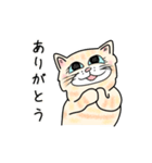 ダンボール色のねこ（個別スタンプ：29）