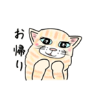 ダンボール色のねこ（個別スタンプ：30）