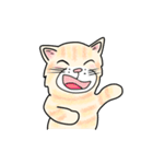 ダンボール色のねこ（個別スタンプ：33）