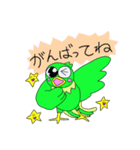 Lucy＆sherry Conure friend's①（個別スタンプ：2）