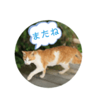 うめちゃんと遊ぼう（個別スタンプ：1）