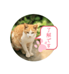 うめちゃんと遊ぼう（個別スタンプ：2）