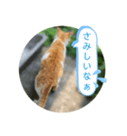 うめちゃんと遊ぼう（個別スタンプ：3）