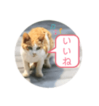 うめちゃんと遊ぼう（個別スタンプ：4）