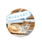 うめちゃんと遊ぼう（個別スタンプ：6）