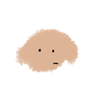 ちゃっぺ（個別スタンプ：1）