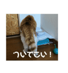 ザウルス6（個別スタンプ：5）