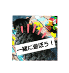 さんま、ひまわりお誘いスタンプ（個別スタンプ：1）