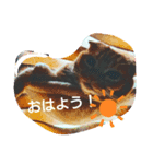 さんま、ひまわりお誘いスタンプ（個別スタンプ：4）