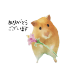 お花ところも（個別スタンプ：2）
