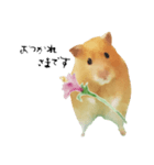 お花ところも（個別スタンプ：3）