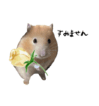 お花ところも（個別スタンプ：6）