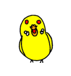 セキセイインコのチェリー姫（個別スタンプ：7）
