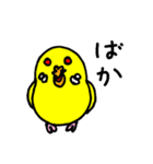 セキセイインコのチェリー姫（個別スタンプ：12）
