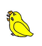セキセイインコのチェリー姫（個別スタンプ：13）