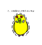 セキセイインコのチェリー姫（個別スタンプ：17）