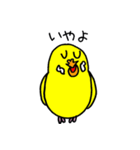 セキセイインコのチェリー姫（個別スタンプ：19）