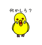 セキセイインコのチェリー姫（個別スタンプ：23）