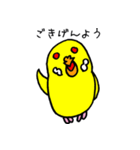 セキセイインコのチェリー姫（個別スタンプ：26）
