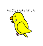セキセイインコのチェリー姫（個別スタンプ：37）