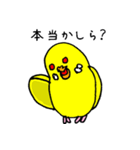 セキセイインコのチェリー姫（個別スタンプ：39）