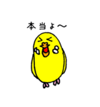 セキセイインコのチェリー姫（個別スタンプ：40）