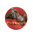 CoRoCoRoN_2（個別スタンプ：1）