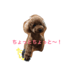 CoRoCoRoN_2（個別スタンプ：2）
