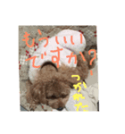CoRoCoRoN_2（個別スタンプ：5）