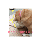 CoRoCoRoN_2（個別スタンプ：8）