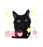 うきょきょのつぶやき・仲間たち3（個別スタンプ：2）