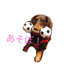 さすけと仲間たち（個別スタンプ：4）