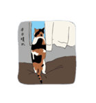 ミー助の日常 ①（個別スタンプ：12）