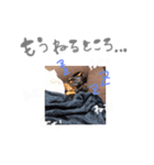 愛するぺろぺち。（個別スタンプ：7）