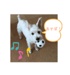 今日のすあま②（個別スタンプ：4）