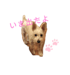 今日のすあま②（個別スタンプ：5）