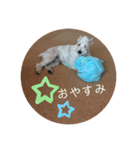 今日のすあま②（個別スタンプ：7）