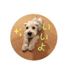 今日のすあま②（個別スタンプ：8）