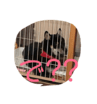 らんはく～Ⅰ～（個別スタンプ：1）