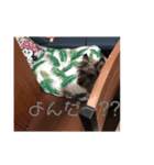 らんはく～Ⅰ～（個別スタンプ：8）