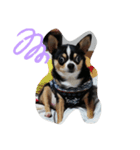 犬のスタンプdog stamp（個別スタンプ：4）